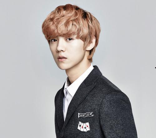 网易娱乐频道鹿晗吃瓜,娱乐圈风云再起，明星互动引热议